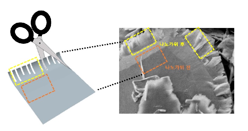 그림 1. 2차원 신소재를 1차원 리본으로 오려내는 나노 가위 기술 모식도