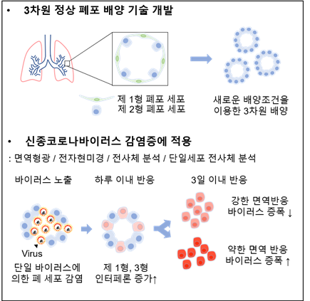 연구 요약도