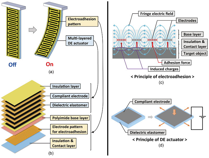 그림 4. 개발한 소프트 그리퍼의 구조 및 전기접착식피부, 인공근육의 원리