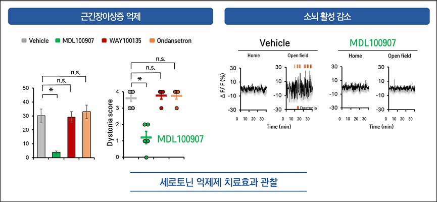 extern그림 2. 근긴장이상증 신약 효능검사결과al_image