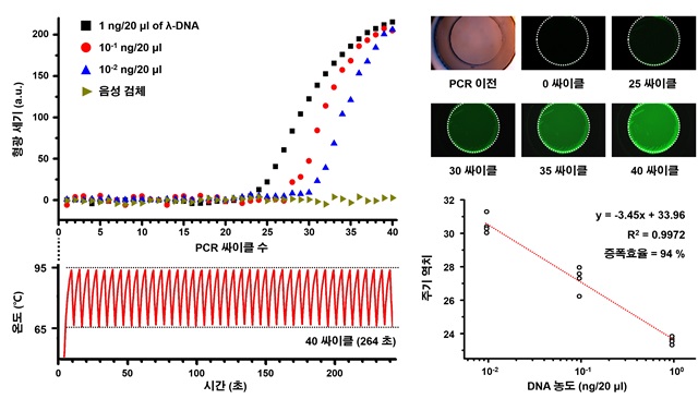 그림 3. 람다 DNA의 초고속 열순환 및 농도별 실시간 정량화 표준곡선 그래프