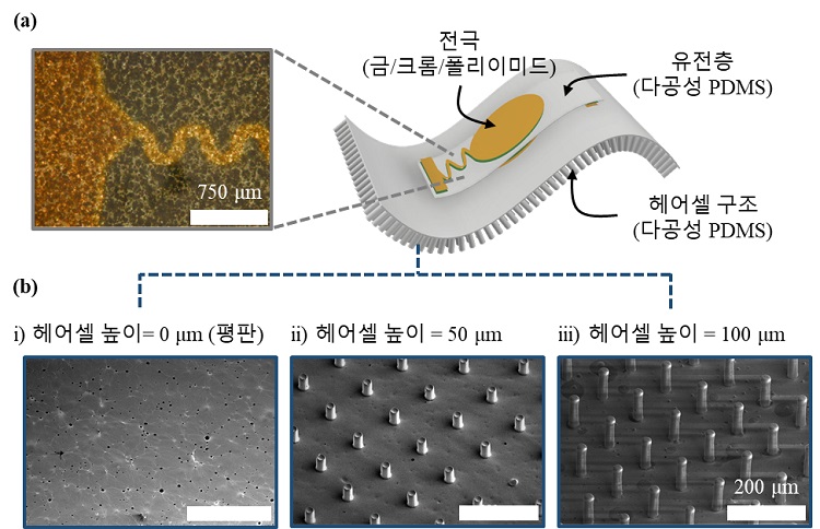 그림 1. 다공성 헤어셀 구조의 맥파센서: (a) 맥파센서 상단면 현미경 사진; (b) 헤어셀 높이별(0um, 50um, 100um) SEM 사진 