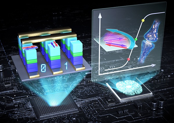 그림 1. 반강자성 기반 스핀 소자 응용(왼쪽) 및 멀티레벨을 활용한 뇌 모사 컴퓨팅 응용 모식도