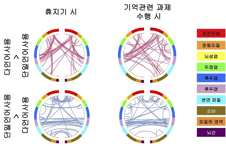 그림 1. 다언어 사용 아동과 단일언어 사용 아동의 뇌 전체 연결망 차이를 나타내는 이미지