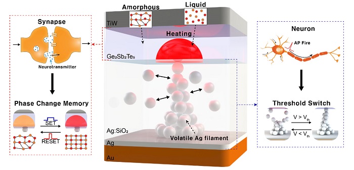 . Image 1. Neuromorphic memory device consisting of bottom volatile and top nonvolatile memory layers emulating neuronal and synaptic properties, respectively.
