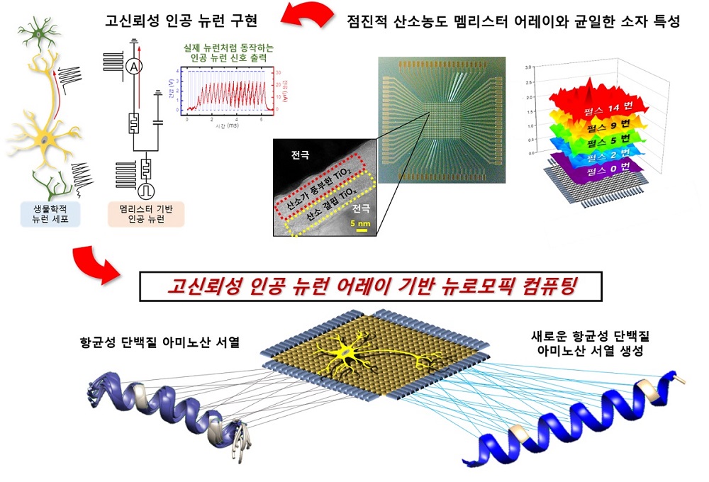 그림 1. 이번 연구에서 구현한 뉴로모픽 컴퓨팅 개념도