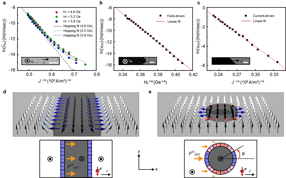 그림 3. 주요 실험 데이터 및 이론적 분석에 대한 개념도. (a-c) 자화 구조체의 평균 속도와 구동력 간의 스케일링 관계로, 각각 (a) 전류로 구동되는 자기 스커미온, (b) 자기장으로 구동되는 자구벽, (c) 전류로 구동되는 자구벽을 나타낸다. 자기 스커미온은 호핑 법칙을 따라 그래프가 선형에서 벗어나는 반면, 자구벽은 크립 법칙을 따라 그래프가 선형을 따른다. (d-e) 자구벽과 자기 스커미온에 적용된 자구벽 세그먼트(segment) 이론을 설명하는 개념도. (d) 자구벽의 모든 세그먼트는 동일한 구동력을 받는 반면, (e) 자기 스커미온의 세그먼트는 위치에 따라 다른 구동력을 받고, 구동력이 0에 수렴하는 세그먼트(붉은 색)가 전체 구조체의 움직임을 방해하여 호핑 운동을 유발한다.