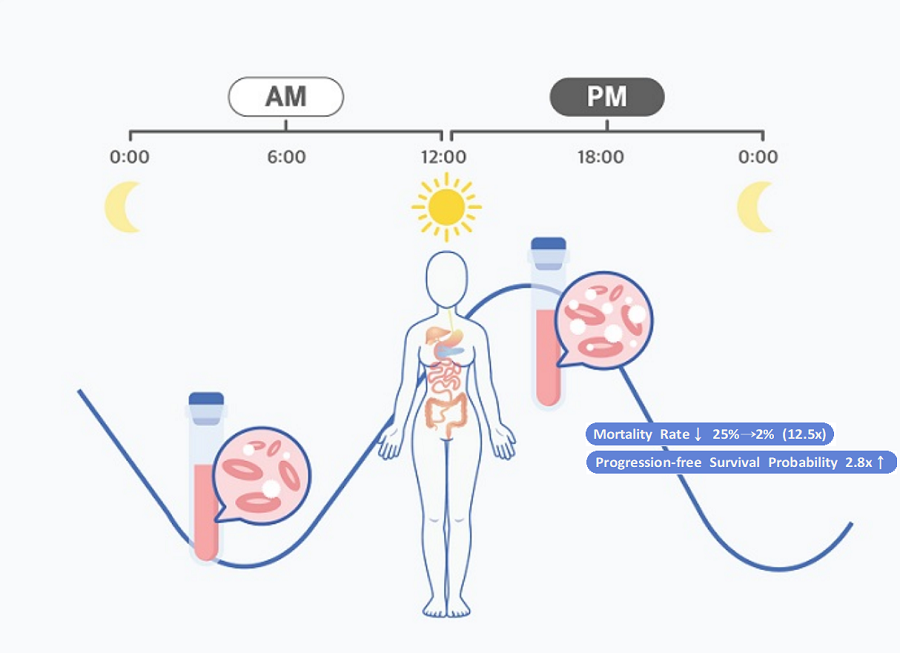 Figure 1. Chrono-chemotherapy considering circadian rhythm