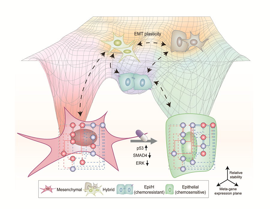 Figure 5. A schematic representation of the research results.