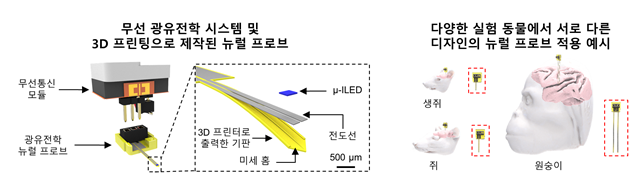 그림 1. 3D 프린팅으로 제작한 뇌 이식용 뉴럴 프로브 및 응용 예시