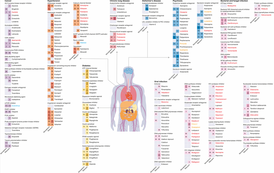 Results of drug interaction prediction for Paxlovid ingredients