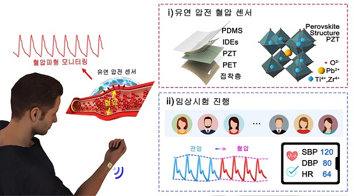 그림 1. 웨어러블 유연 압전 혈압 센서. 요골 동맥에 밀착하여 부착할 수 있는 유연 압전 혈압 센서를 제작하였다. 센서를 통해 획득한 출력 전압을 혈압으로 변환할 수 있는 선형 회귀 함수 모델을 제시하였으며, 임상시험을 통해 혈압 측정 정확도를 평가하였다.