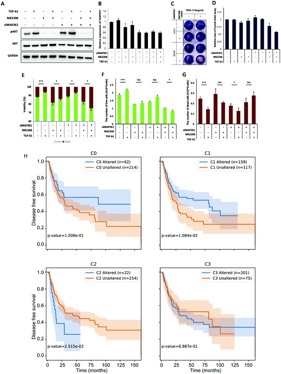 Analysis of survival of bladder cancer patients