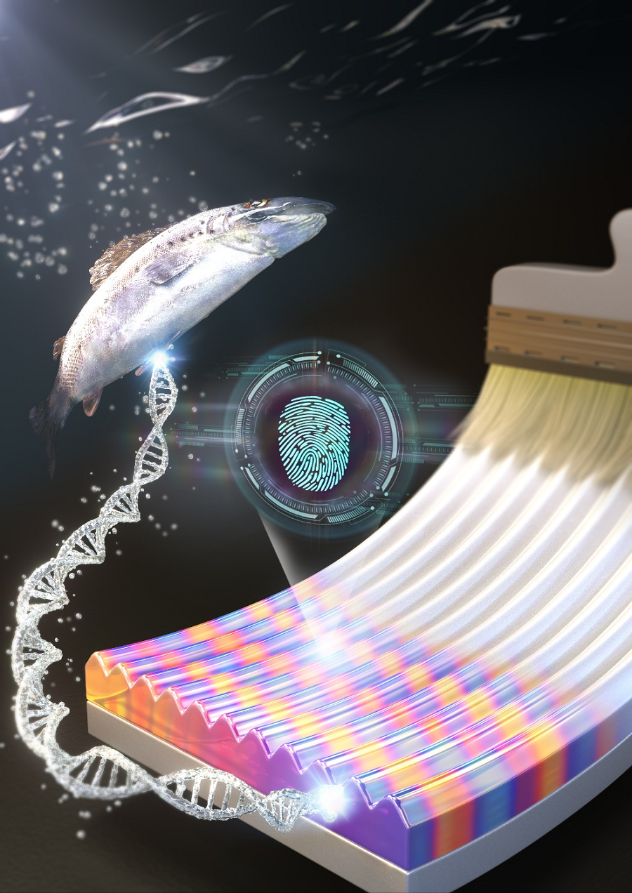  A schematic diagram of the formation of digital fingerprints formed using the DNA ink