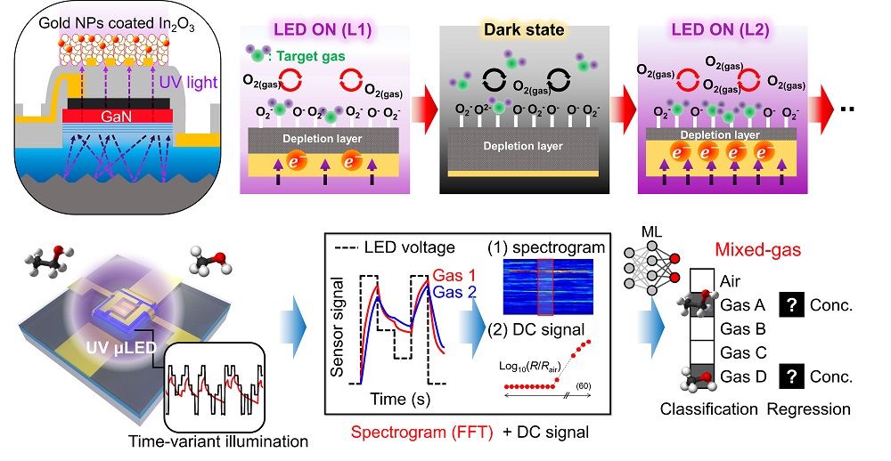 그림 1. 단일 마이크로 LED 가스센서와 가변광조사 기법을 활용한 전자코 시스템의 모습. 가변광조사에 의한 센서반응을 주파수 변환을 거쳐 스펙트로그램 변환 이후 딥러닝 모델의 학습 데이터로 활용함. 그 결과, 혼합가스에 대해서도 포함된 가스의 종류와 농도 판별이 가능함.