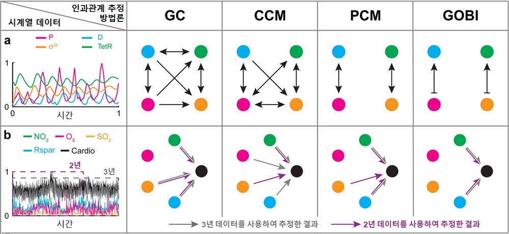 [그림 2] 기존 개발된 방법론과 새로 제시된 방법론의 인과관계 추정 결과 비교. (a) 서로 무관한 먹이 포식자 시스템(P와 D)과 세포 내 단백질 상호작용 시스템(과 TetR)을 합친 시스템의 시계열 데이터이다. GC, CCM 등 같은 기존 방법론들은 시계열 데이터에 동시성이 있으면 거의 모든 대상 사이에 인과관계가 있다고 잘못 추정한다. 그러나 GOBI는 실제로 있는 인과관계만 정확히 추정한다. (b) 홍콩에서의 심혈관질환 환자수와 대기 중 오염물질의 농도를 나타낸 시계열 데이터이다. 다른 방법론들과는 다르게, GOBI는 사용하는 시계열 데이터의 길이(2년 또는 3년)와 무관하게 오직 이산화질소(NO2)와 호흡 가능한 부유 미립자(Rspar)만이 심혈관질환에 영향을 준다고 바르게 추정한다. 