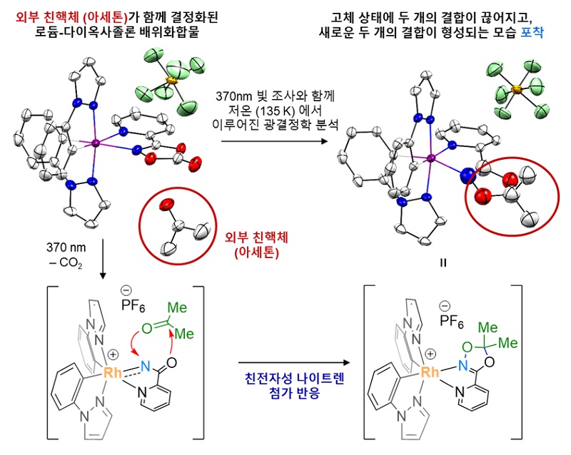 그림 4. 광결정학 실험 통한 로듐-아실나이트렌 이동 반응의 모니터링