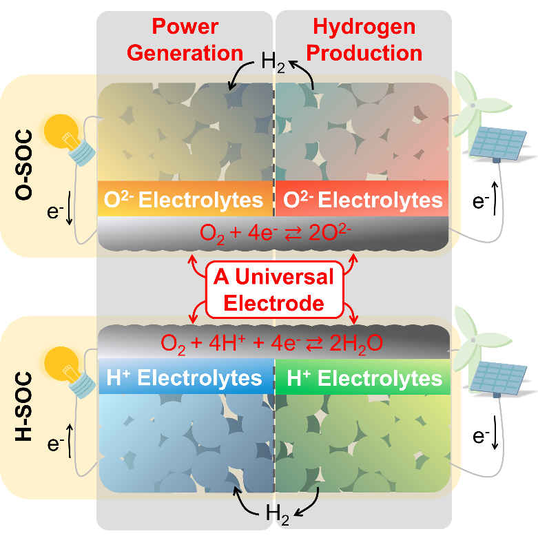 Figure 1. Schematic diagram of SOFC and PCFC with the new universal electrode