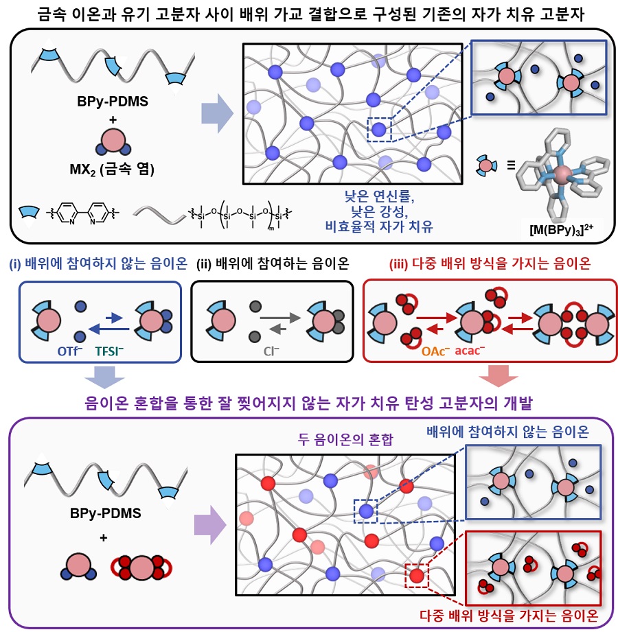 그림 1. 음이온 혼합을 통한 잘 찢어지지 않으면서 효율적 자가 치유가 가능한 탄성 고분자 소재의 개발