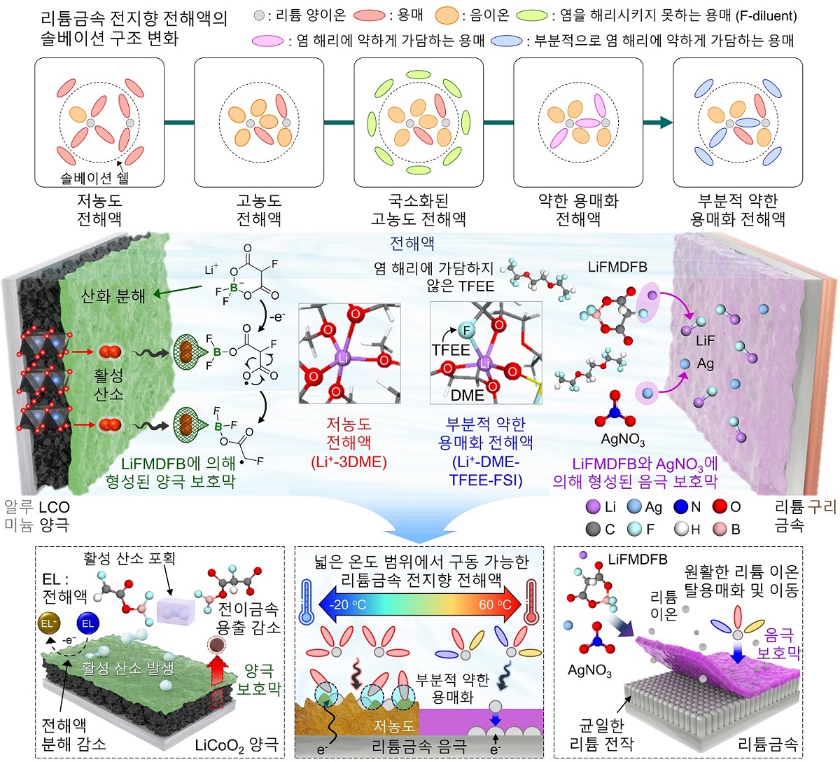 그림 1. (상단) 전해액의 솔베이션 구조의 변화와 (하단) 개발 전해액 조성의 작동 메커니즘 모식도.