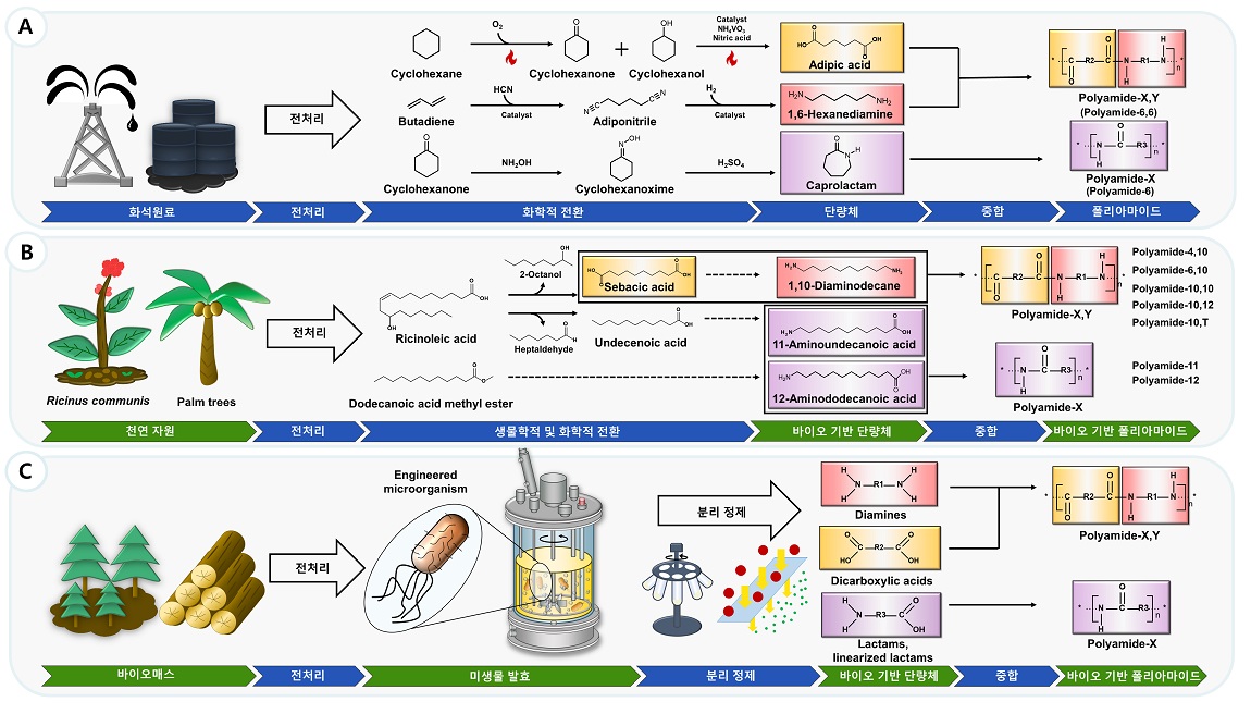 그림 1. 바이오 기반 폴리아마이드 생산 모식도