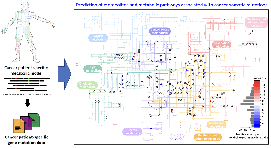 Figure 1. Schematic diagram