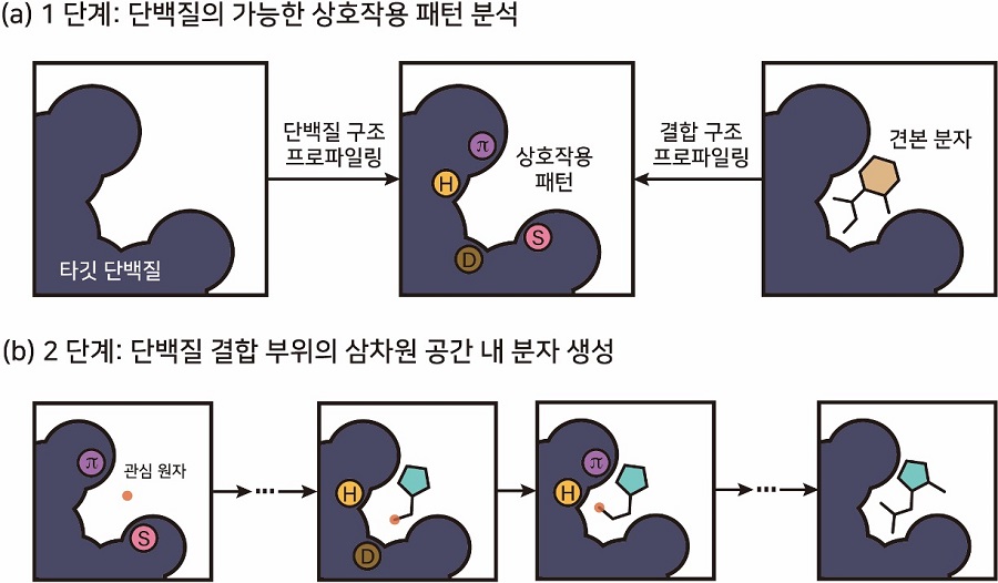 그림 1. 본 연구진이 개발한 단백질-분자 상호작용 패턴 기반 3차원 생성형 AI의 개념도. (a) 첫 번째 단계에서는 타겟 단백질의 결합 부위를 분석하여 가능한 상호작용 패턴을 규명한다. (b) 두 번째 단계에서 AI는 미리 지정한 상호작용 패턴에 따라 단백질 결합 부위의 3차원 공간 내부에 원자를 순차적으로 추가함으로써 분자를 완성한다. 원 안의 문자는 다음과 같은 상호작용 유형을 나타낸다: 수소 결합(H), 소수성 상호작용(D), 이온 결합(S) 및 파이 겹침(π)