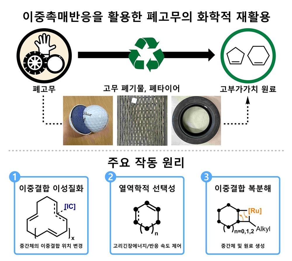 그림 1. 폐고무의 화학적 재활용 촉매 방법 개발