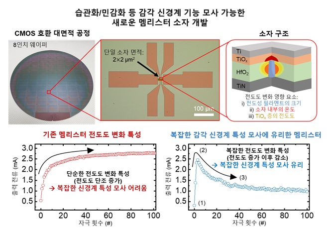 그림 1. 감각 신경계의 습관화 및 민감화 기능 모사가 가능한 새로운 멤리스터 소자의 실물 모습과 설명도 (위). 기존 멤리스터의 단순한 전도도 변화 특성과 개발된 멤리스터의 복잡한 전도도 변화 특성 (아래)