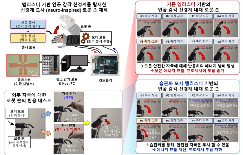 그림 2. 개발한 멤리스터 소자 기반의 인공 감각 신경계를 탑재한 로봇 손 실험 결과. 연구팀이 개발한 멤리스터를 이용하면 중요치 않은 자극은 무시하여 에너지 효율을 높이고 프로세서 부담을 줄일 수 있음