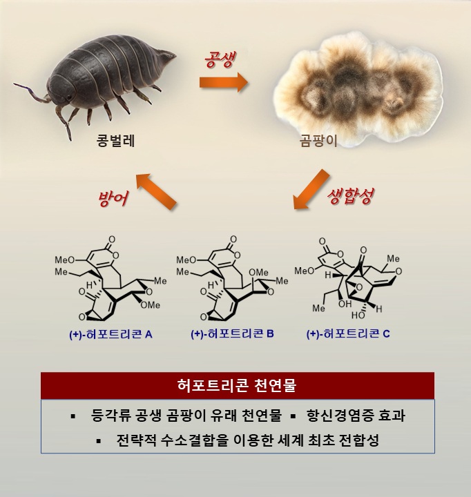 그림 1. 본 연구의 핵심사항 요약