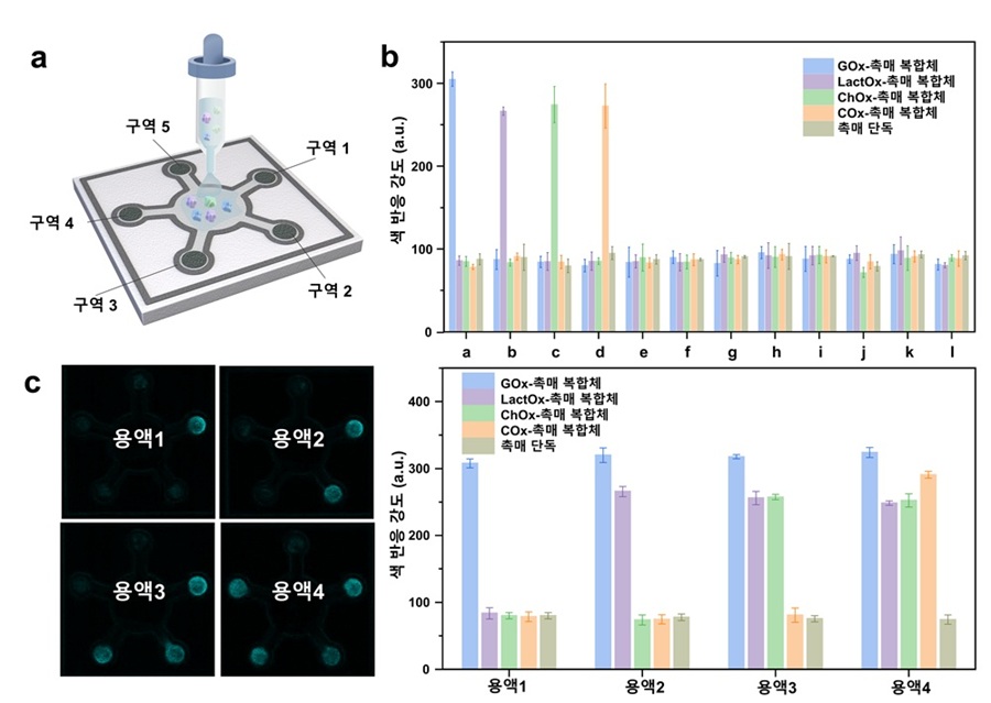 (a) 종이센서 모식도 (구역 1: 포도당 산화효소(GOx)-촉매 복합체 담지, 구역 2: 락테이트 산화효소(LactOx)-촉매 복합체 담지, 구역 3: 콜린 산화효소(ChOx)-촉매 복합체 담지, 구역 4: 콜레스테롤 산화효소(COx)-촉매 복합체 담지, 구역 5: 촉매 단독 (산화효소 미탑재) (b) 루테늄 단일원자 촉매기반 종이센서를 이용한 단일 바이오마커 검출, (c) 루테늄 단일원자 촉매기반 종이센서를 이용한 다중 바이오마커 검출>   (a) 포도당, 락테이트, 콜레스테롤, 콜린 등 4종의 표적 바이오마커를 5개의 독립된 검출 영역에서 동시에 감지할 수 있도록 설계된 종이 기반 센서의 구성도를 나타낸다. (b) 다양한 생체 내 간섭 물질 (a: 포도당, b: 락테이트, c: 콜레스테롤, d: 콜린, e: 갈락토스, f: 알부민 단백질, g: 시스테인, h: 아스코르빈산, i: 요산, j: Na⁺, k: Ca²⁺, l: 완충용액)의 존재 하에서도 각 표적 물질(포도당, 락테이트, 콜레스테롤, 콜린)에 대해 높은 선택성을 유지하며, 비특이적 반응 없이 정확한 검출이 가능함을 확인하였다. (c) 질병 진단과 연관된 여러 표적 물질이 혼합된 복합 시료 내에서도 각 표적에 대한 신호가 개별적으로 검출되어, 본 플랫폼이 다중 진단 환경에서도 우수한 정량 성능과 선택성을 유지함을 입증하였다 (용액 1: 포도당 단독, 용액 2: 포도당 + 락테이트, 용액 3: 포도당 + 락테이트 + 콜레스테롤, 용액 4: 포도당 + 락테이트 + 콜레스테롤 + 콜린)