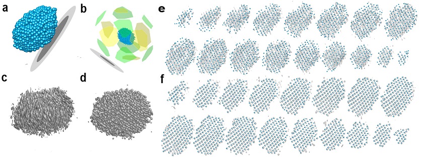 a. Overall atomic structure of a Pt nanoparticle determined in this study, with SiN substrate represented as black and gray disks. b. Identified facet structure of the Pt nanoparticle, showing all facets. c, d. Iso-surfaces of reconstructed 3D density from the electron tomography, before (c) and after (d) the deep-learning based augmentation, respectively. e, f. Tomographic reconstruction volume intensity and traced atom positions. Each slice represents an atomic layer, and the blue dots indicate the traced 3D atomic positions before (e) and after (f) the deep-learning based augmentation. The grayscale backgrounds are iso-surfaces of 3D density.