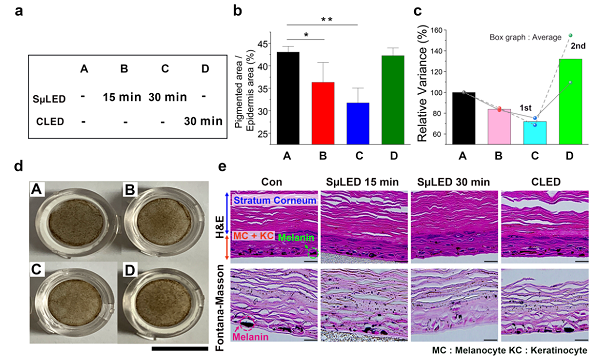 The efficacy of melanogenesis inhibition on 3D human skin cells.