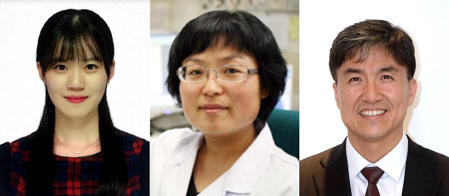 Photo. (from left) Ph.D. Student Namhee Kim (first author), Dr. Chae Young Hwang (co-first author), and Professor Kwang-Hyun Cho of the Laboratory for Systems Biology and Bio-inspired Engineering 